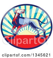 Clipart Of A Retro Angry Greyhound Dog Growling In A Sunset Oval Royalty Free Vector Illustration by patrimonio