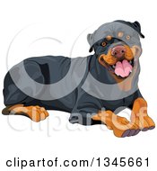 Poster, Art Print Of Cute Happy Rottweiler Dog Resting