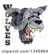 Poster, Art Print Of Roaring Gray Wolf Mascot Head And Text