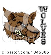 Poster, Art Print Of Snarling Brown Wolf Mascot Head And Text