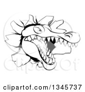 Clipart Of A Black And White Snapping Alligator Or Crocodile Head Breaking Through A Wall Royalty Free Vector Illustration by AtStockIllustration