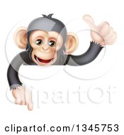 Cartoon Black And Tan Happy Baby Chimpanzee Monkey Giving A Thumb Up And Pointing Down Over A Sign