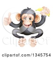 Poster, Art Print Of Cartoon Black And Tan Happy Baby Chimpanzee Monkey Holding A Banana And Giving A Thumb Up