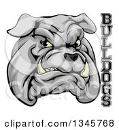 Poster, Art Print Of Growling Gray Aggressive Bulldog Mascot Face With Text