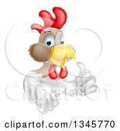 Clipart Of A Happy White And Brown Chicken Or Rooster Giving A Thumb Up Royalty Free Vector Illustration
