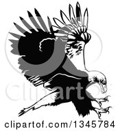 Poster, Art Print Of Black And White Flying Bald Eagle 2