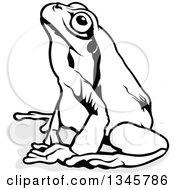 Clipart Of A Black And White Sitting European Tree Frog And Grey Shadow Royalty Free Vector Illustration