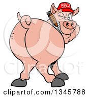 Cartoon Rear View Of A Grinning Pig Looking Back Smoking A Cigar And Wearing A Bbq Hat