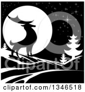 Black Silhouetted Buck Deer With Evergreens Under A Full Moon At Night