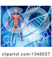 Poster, Art Print Of 3d Medical Anatomical Male With Visible Muscles Over A Blue Dna And Microscope Background