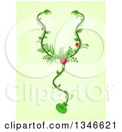 Clipart Of A Stethoscope Made Of Vines And Medicinal Plants Royalty Free Vector Illustration