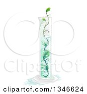 Poster, Art Print Of Graduated Cylinder With A Medicinal Plant Inside