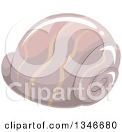 Poster, Art Print Of Taupe Sea Shell
