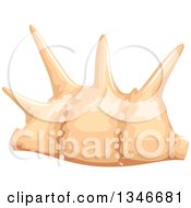 Clipart Of A Salmon Pink Conch Sea Shell Royalty Free Vector Illustration