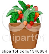 Poster, Art Print Of Tomato Plant In A Pot