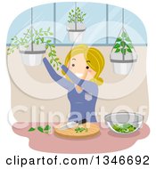 Poster, Art Print Of Cartoon Blond Caucasian Woman Gathering Culinary Herbs From Hanging Plants