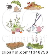Poster, Art Print Of Sketched Garden Pests Tools Weeds And A Bed