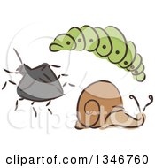 Poster, Art Print Of Sketched Garden Pest Caterpillar Beetle And Snail