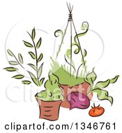 Poster, Art Print Of Sketched Garden Pot Hanging Basket Beet And Tomato