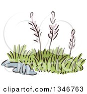 Clipart Of Sketched Garden Weeds Royalty Free Vector Illustration