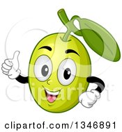 Cartoon Green Olive Mascot Giving A Thumb Up