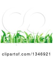 Clipart Of A Border Of Green Grass Under Text Space Royalty Free Vector Illustration by BNP Design Studio