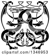 Clipart Of Black Celtic Knot Dragons 8 Royalty Free Vector Illustration