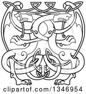Clipart Of Lineart Celtic Knot Dragons 8 Royalty Free Vector Illustration