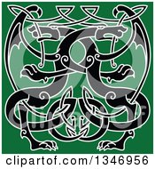 Poster, Art Print Of Black Celtic Knot Dragons On Green 2