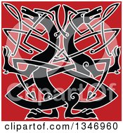 Poster, Art Print Of Black Celtic Wild Dog Knot On Red