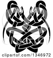 Poster, Art Print Of Black Celtic Knot Snakes 2