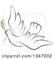 Poster, Art Print Of Sketched Gray Flying Peace Dove With A Branch