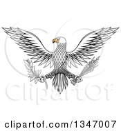 Flying White Eagle Holding A Peace Olive Branch And War Arrows
