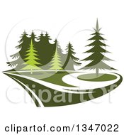 Park With Evergreen Trees 2