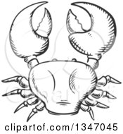 Clipart Of A Black And White Sketched Crab Holding Up His Claws Royalty Free Vector Illustration