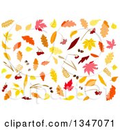 Poster, Art Print Of Colorful Autumn Leaves 5