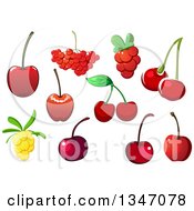 Poster, Art Print Of Cherries Cranberries And Yellow Berries