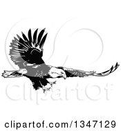 Poster, Art Print Of Black And White Flying Bald Eagle 3
