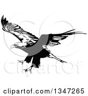 Poster, Art Print Of Black And White Flying Bald Eagle 4