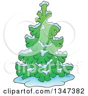 Poster, Art Print Of Cartoon Snow Flocked Undecorated Evergreen Christmas Tree