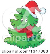 Poster, Art Print Of Cartoon Christmas Tree Character Wearing A Scarf And Santa Hat