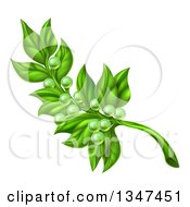 Poster, Art Print Of Green Peace Olive Branch With Tiny Fruits