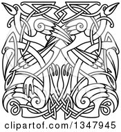 Poster, Art Print Of Black And White Lineart Celtic Knot Cranes Or Herons 3