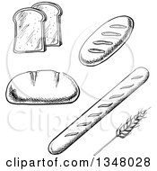 Poster, Art Print Of Black And White Sketched Toast Bread And Wheat