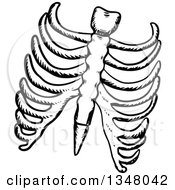 Poster, Art Print Of Black And White Sketched Ribs