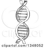 Poster, Art Print Of Black And White Sketched Dna Strand