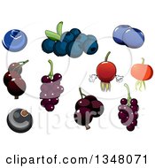 Poster, Art Print Of Cartoon Blueberries Currants And Briar Fruit Rose Hips