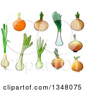 Poster, Art Print Of Cartoon Onions Green Onions And Leeks