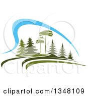Poster, Art Print Of Park With Evergreen Trees And Blue Sky