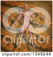 Clipart Of A 3d Medical Anatomical Male With Visible Muscles Over A Vintage DNA And Background Royalty Free Illustration